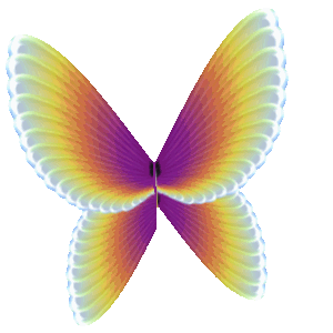 butterfly.gif